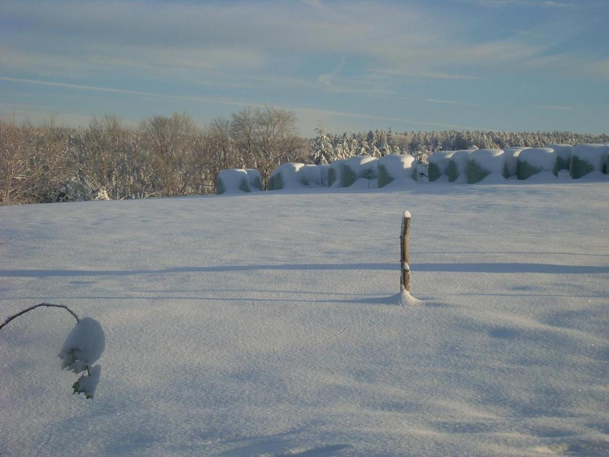 Location Vacances Des 4 Vents Girmont-Val-d'Ajol ภายนอก รูปภาพ