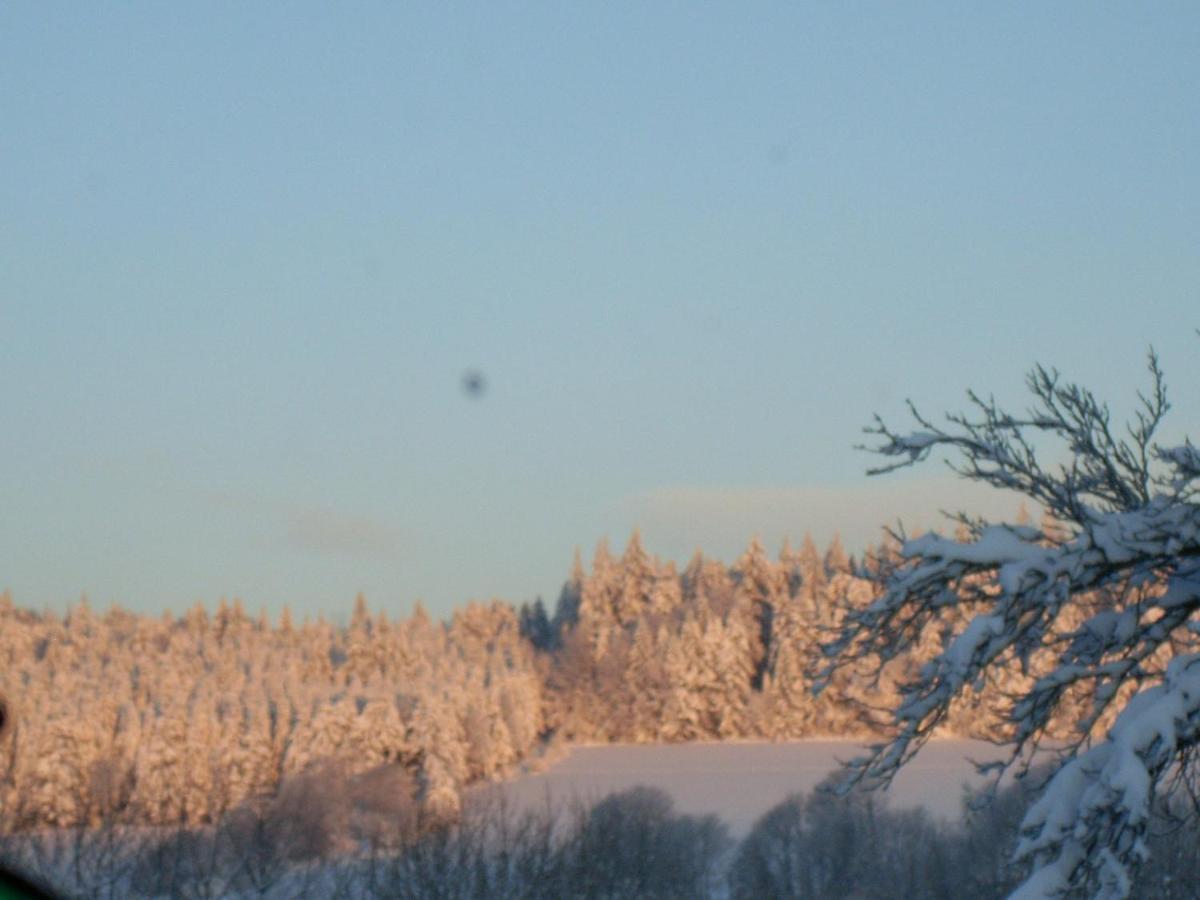 Location Vacances Des 4 Vents Girmont-Val-d'Ajol ภายนอก รูปภาพ